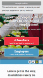 Mobile Screenshot of employabilitylouth.ie
